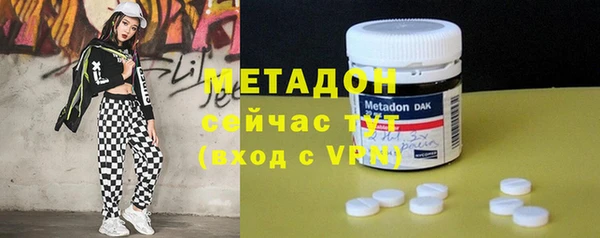 прущие грибы Бородино