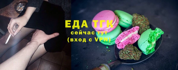 прущие грибы Бородино