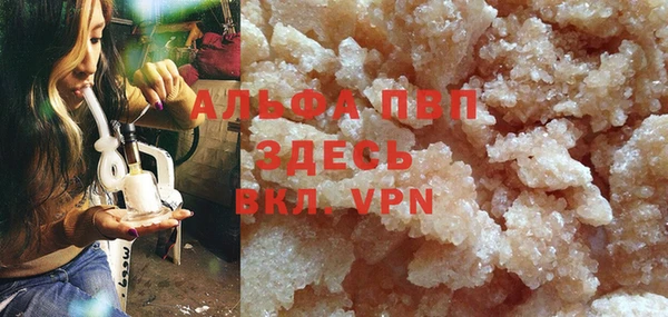 прущие грибы Бородино