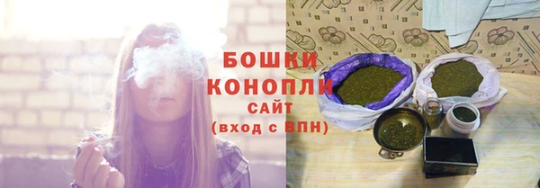 прущие грибы Бородино