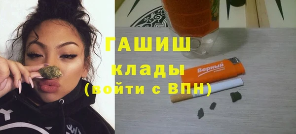 прущие грибы Бородино