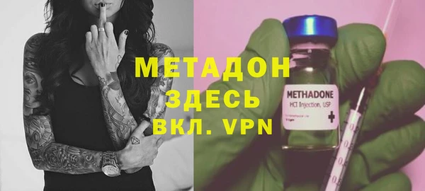 прущие грибы Бородино