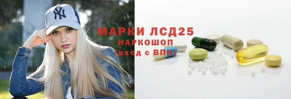 прущие грибы Бородино