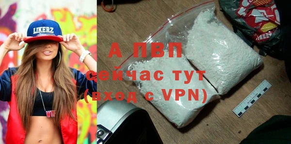 прущие грибы Бородино