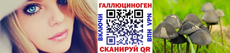 Галлюциногенные грибы Psilocybe  Коркино 